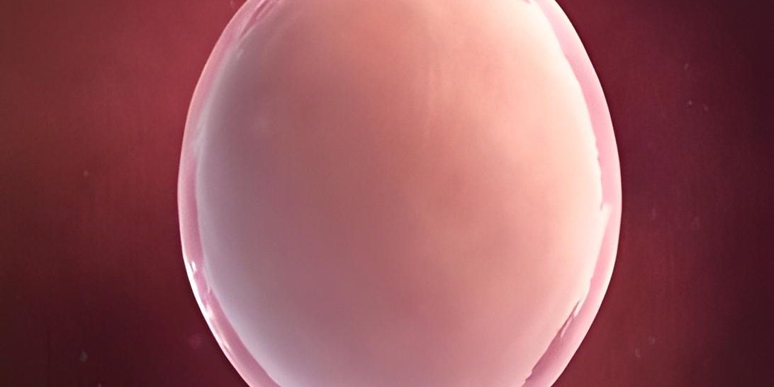 Was beeinflusst die Eizellqualität?