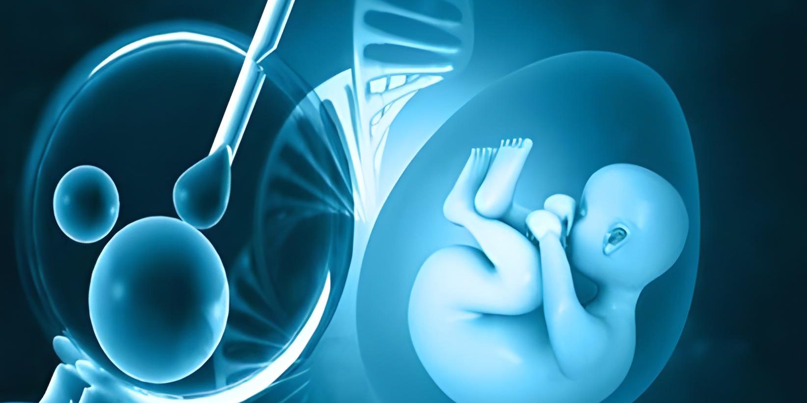 Das beste Geschlechtsbestimmungskalender