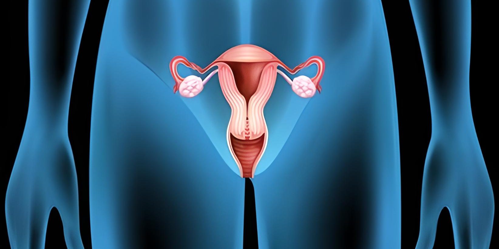 Ist es möglich, durch eine Gebärmuttertransplantation schwanger zu werden