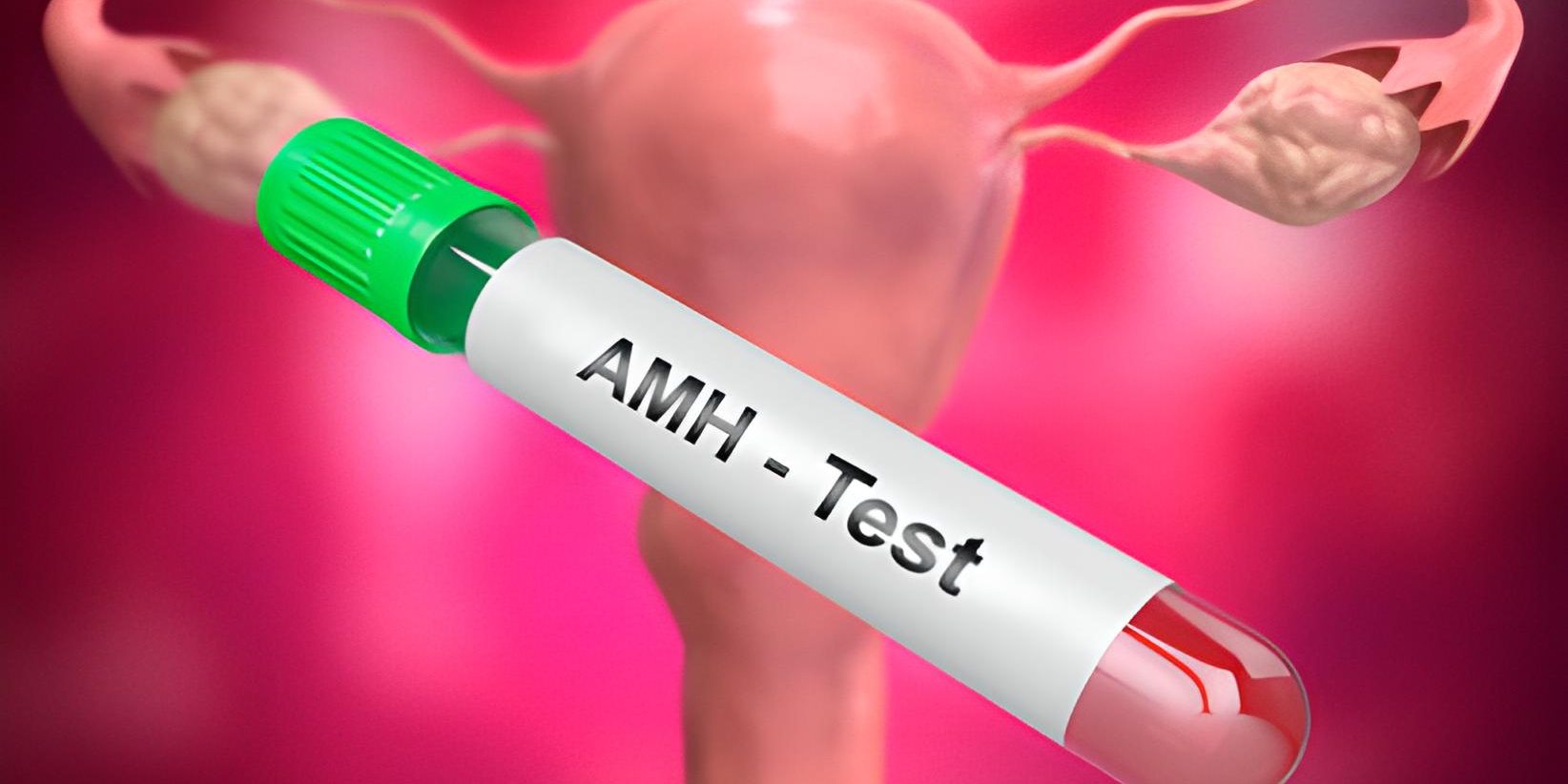 was-ist-der-amh-test-und-wann-wird-er-durchgeführt Was ist der AMH-Test und wann wird er durchgeführt?