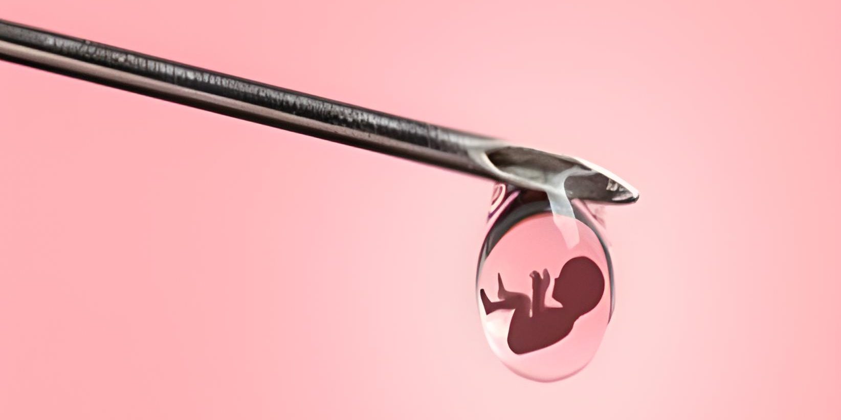 Zytoplasma und Mitochondrien-Transfer