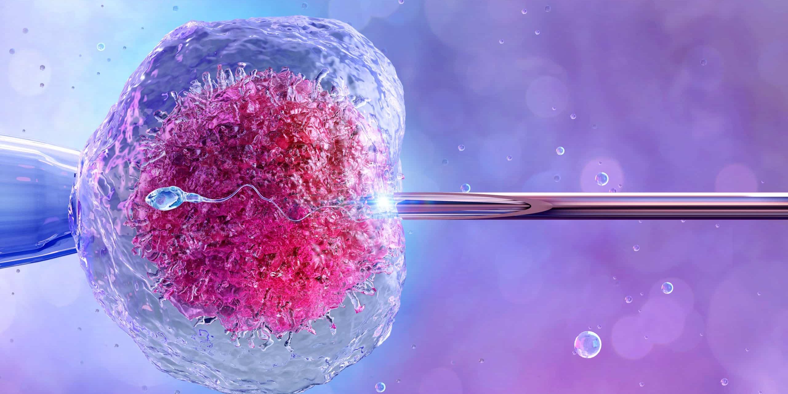 zypern-ivf-preis Zypern IVF-Preis