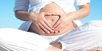 wie-oft-kann-man-seine-eizellen-spenden Wie oft kann man seine eizellen spenden