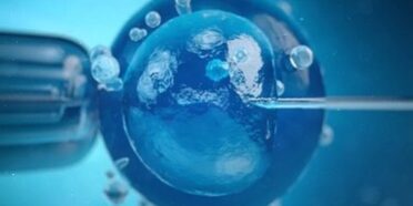 Wie viele Versuche braucht man bei Eizellspende