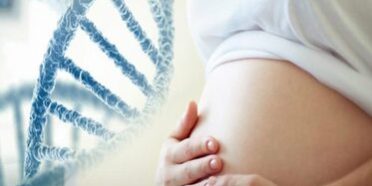 in-welcher-ssw-gentest In welcher SSW Gentest