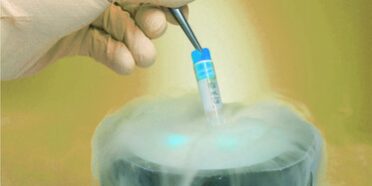 wie-teuer-ist-es-eizellen-einfrieren-zu-lassen Wie teuer ist es, Eizellen einfrieren zu lassen