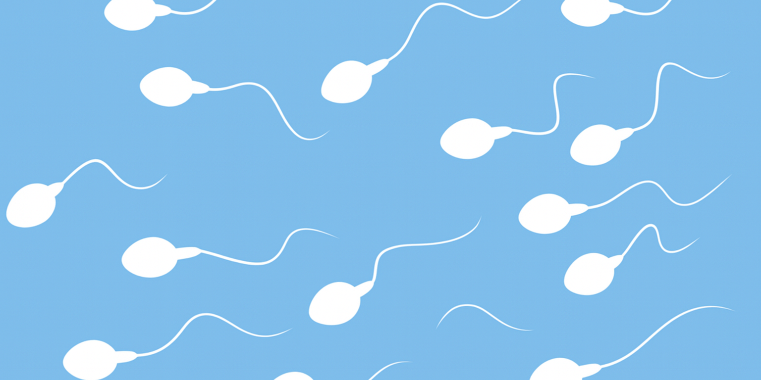 ist-es-moglich-die-spermienzahl-zu-erhohen Ist es möglich, die Spermienzahl zu erhöhen