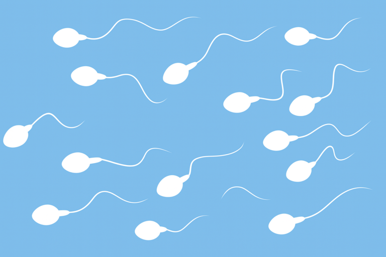 ist-es-moglich-die-spermienzahl-zu-erhohen Ist es möglich, die Spermienzahl zu erhöhen