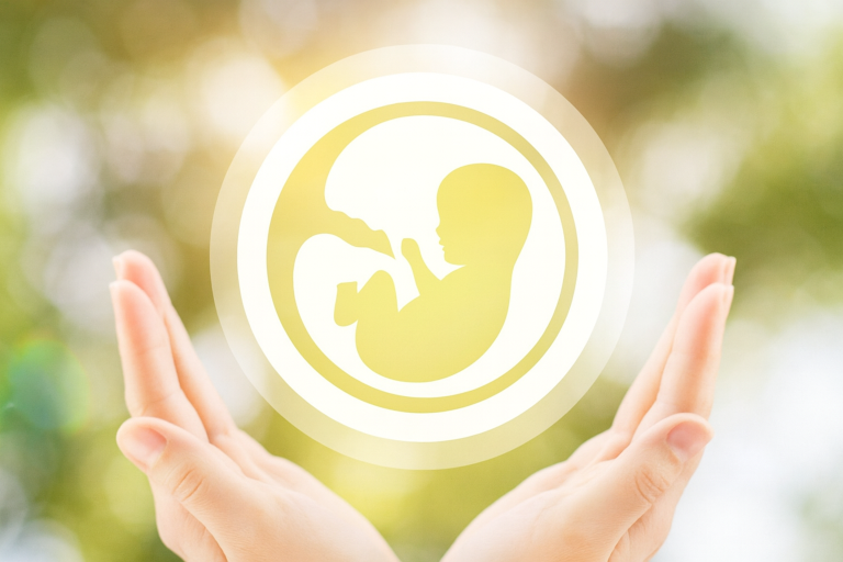 ivf-kosten-2026 IVF Kosten 2026