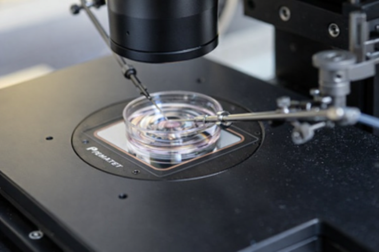 wie-viele-fehlgeburten-nach-ivf Wie viele Fehlgeburten nach IVF